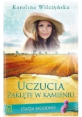 Stacja Jagodno Tom 8 Uczucia zaklęte w kamieniu