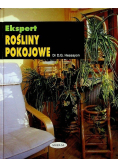 Ekspert rośliny pokojowe