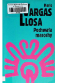 Pochwała macochy
