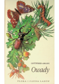 Owady