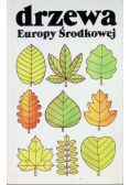 Drzewa Europy Środkowej