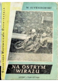 Na ostrym wirażu