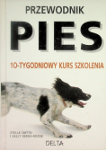 Przewodnik Pies