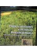 Park Narodowy w Puszczy Białowieskiej