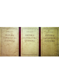 Historia i literatura żydowska Tom 1 do 3
