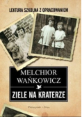 Ziele na kraterze