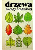 Drzewa Europy Środkowej