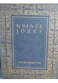 Książę Józef Poniatowski 1913 r.