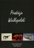Pradzieje Wielkopolski Od epoki kamienia do średniowiecza