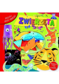 Zwierzęta Sklejaj maluj modeluj