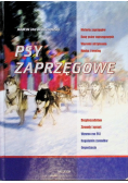 Psy zaprzęgowe