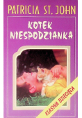 Kotek niespodzianka