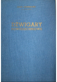 Dźwigary powierzchniowe