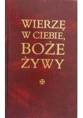 Wierzę w Ciebie Boże Żywy