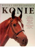 Wielka encyklopedia Konie Przewodnik po świecie koni