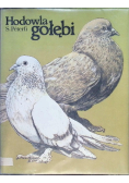 Hodowla gołębi