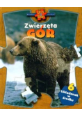 Zwierzęta gór