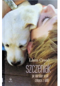 Szczeniak Jak labrador ocalił chłopca z ADHD