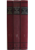 Atlas of human anatomy tom 1 do 3