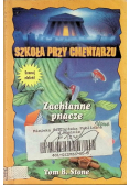 Szkoła przy cmentarzu Zachłanne pnącze
