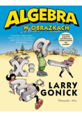Algebra w obrazkach