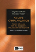 Natural capital valuation