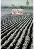 Bruzdy