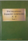 Encyklopedia Dąbrowy Górniczej A - Z Tom 1
