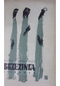 Brzezinka birkenau