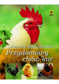 Przydomowy chów kur