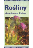 Rośliny chronione w Polsce