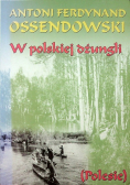 W polskiej dżungli