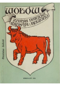 Wołów Zarys dziejów miasta i regionu