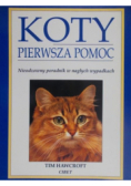 Koty Pierwsza pomoc