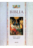 Biblia opowiedziana dzieciom Stary i Nowy Testament