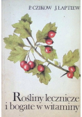 Rośliny lecznicze i bogate w witaminy