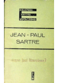 Czym jest literatura
