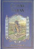 Czarny Tulipan