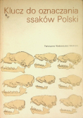 Klucz do oznaczania ssaków Polski
