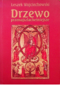 Drzewo przenajszlachetniejsze