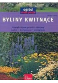 Byliny kwitnące