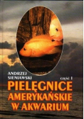 Pielęgnacje amerykańskie w akwarium