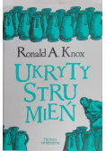 Ukryty strumień