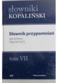 Słownik przypomnień Tom VII