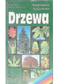 Encyklopedia kieszonkowa drzewa