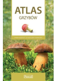 Atlas grzybów