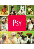 Psy