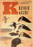 Dzikie kaczki