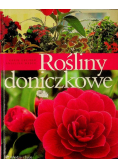 Rośliny doniczkowe