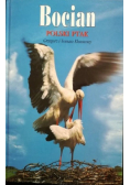 Bocian polski ptak